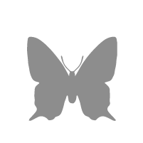 Icone - Papillons et libellules