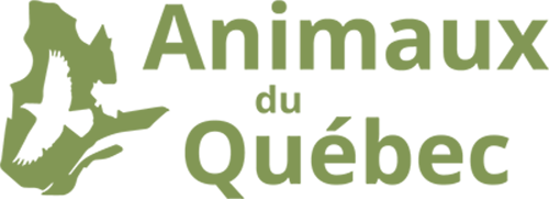 Logo | Animaux du Québec